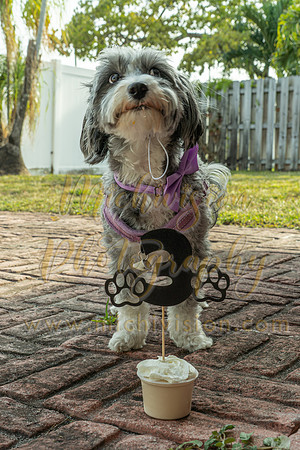 DSC00033