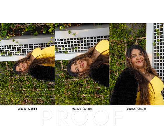 ContactSheet-008