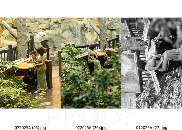 ContactSheet-009