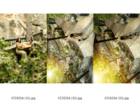 ContactSheet-011
