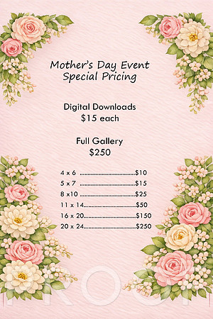 mothersdaypricing copy
