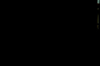 DSC00050