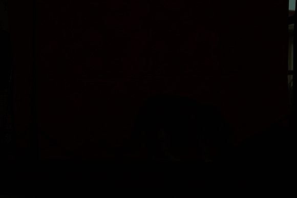 DSC00053