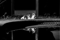 DSC00073