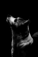 IMG_3089
