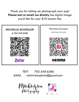 MichiPayment2