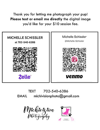MichiPayment2