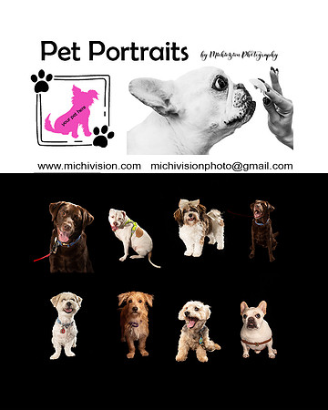 PetPortraits