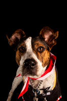102426 (169)