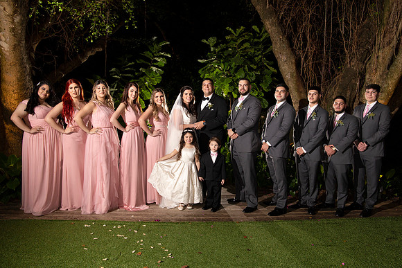 The Wedding Party