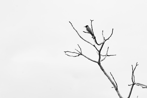 072624_0192