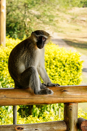 072524_0086