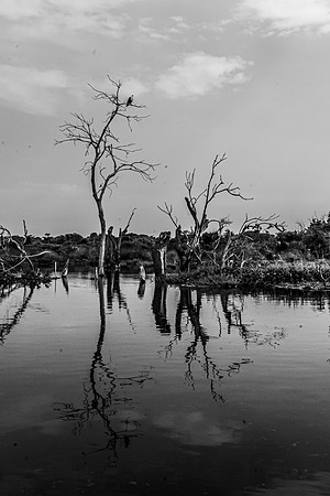 072624_0204