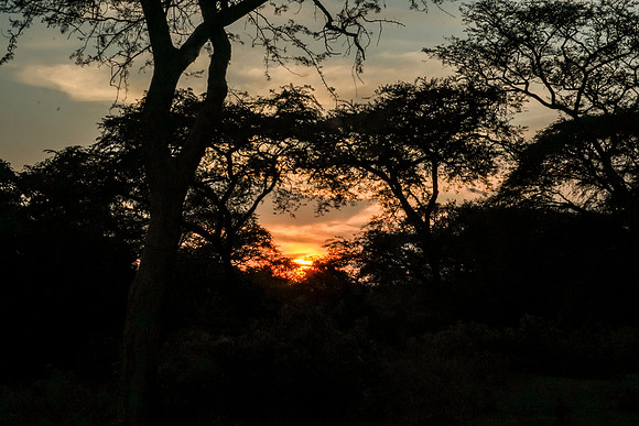 072524_0101