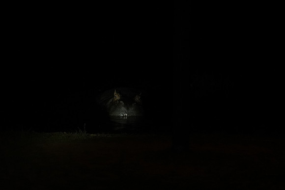 072524_0144